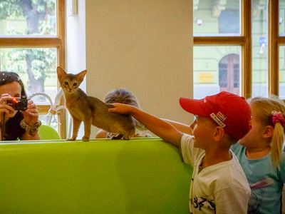 Отдых с детьми во Львове в кафе