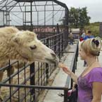 Зоопарк в Меденичи в туре во Львов со СПА отдыхом в Карпатах