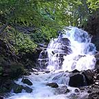 Отдых в Карпатах в долине Боржава у водопада Шипот
