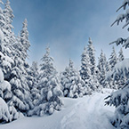 Зимние Карпаты. Тур отдых в Карпаты с катанием на лыжах и санках.