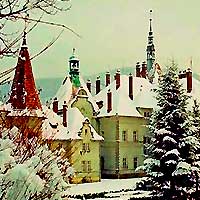 поездка на Новый год в Карпаты в замок Шенборн