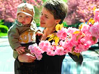  Тур в Закарпатті навесні, цвітіння сакури 