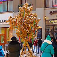 Тур на Рождество во Львове, фотосессии около Дидуха