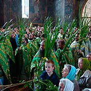 Свята Трійця свято у Львові, тур відпочинок